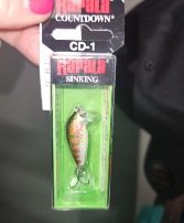 Rapala CD-1 Sinking Lure 