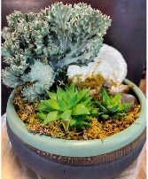 Coastal Cactus Garden with Rare Coral Cacti 