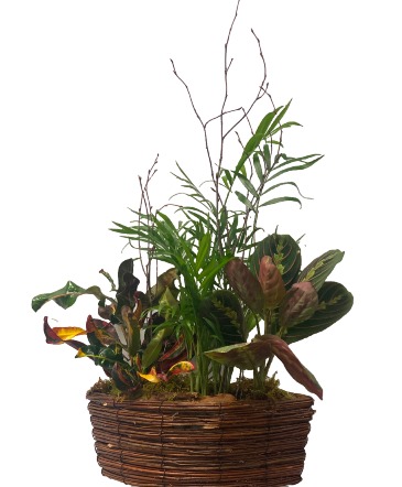 Rattan Basket Plant Garden Plant Garden in Pensacola, FL | JUST JUDY'S FLOWERS, LOCAL ART & GIFTS