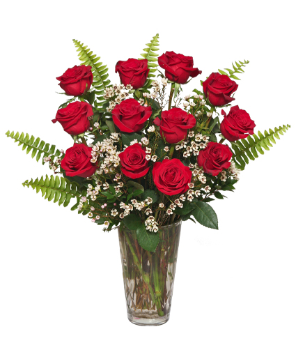 Red Roses and Wispy Whites Classic Dozen Roses in Abbotsford, BC - BUCKETS  FRESH FLOWER MARKET INC.