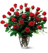 Ravishing Red 2 Dozen Red Roses