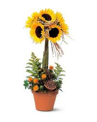 RAY OF SUNFLOWER DELIGHT TOPIARY