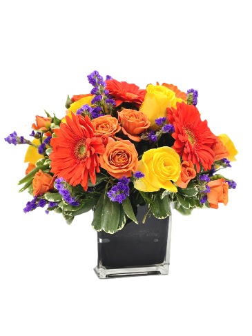 Rayo de sol Every day in San Juan, PR | ELIKONIA FLOWERS Rayo de sol Every day in San Juan, PR | ELIKONIA FLOWERS