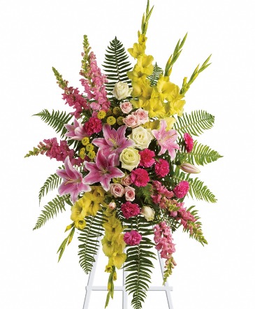 Rays of Light Spray  T246-4A  in Fort Worth, TX | DAVIS FLORAL DESIGNS
