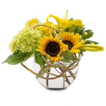 Rays of Sun Vase in Killeen, TX | Marvel's Flowers & Flower Delivery