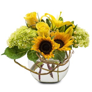 Rays of Sunshine Arrangement