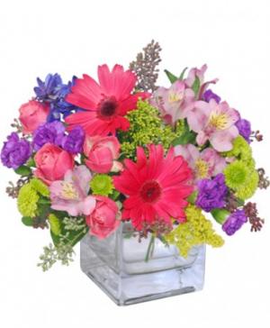 Beautiful Winter Flowers Designer's Choice in Sheridan, WY - BABES FLOWERS,  INC.