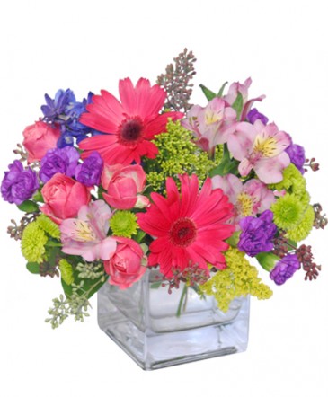 Razzle Dazzle Bouquet of Flowers in Allegan, MI | Allegan Floral and Gifts
