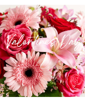 We’ve got you covered! 