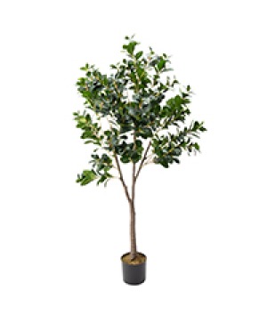 Real touch silk Ficus tree Silk plant 