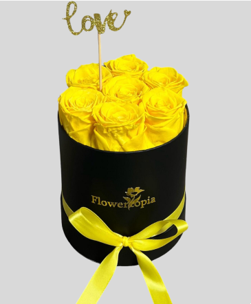 7 PRESERVED YELLOW ROSES IN A ROUND BOX PRESERVED ROSE BOX  in Miami, FL | FLOWERTOPIA