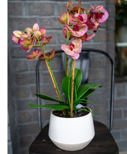 REALISTIC SILK ORCHID  Plant and foux dirt 