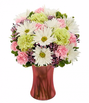 Recovery Blessings Arrangement in Winston Salem, NC | RAE'S NORTH POINT FLORIST INC. Recovery Blessings Arrangement in Winston Salem, NC | RAE'S NORTH POINT FLORIST INC.