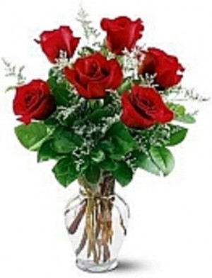 Red 1/2 Dozen Rose arrangement