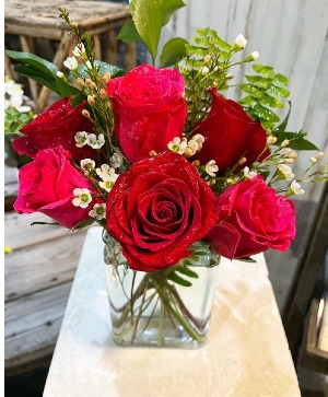 Red and Fushia Half Dozen Roses   