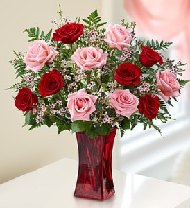 Red and Pink Dozen Roses Valentine's Day