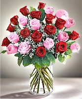 Two Dozen Red and Pink Roses 