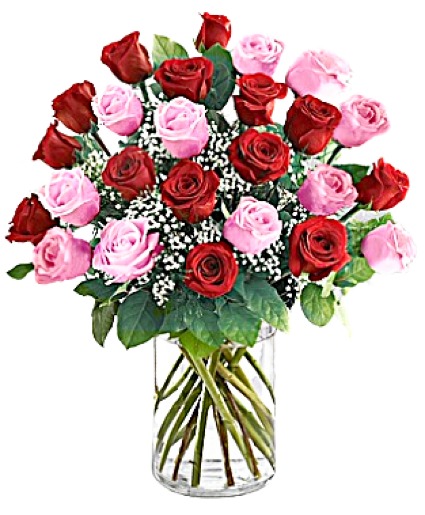 Red and Pink Two Dozen Roses
