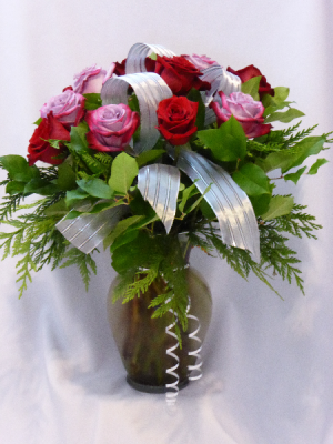 RED AND VIOLET - GIVE LOVE WITH PREMIUM ROSES THE BEST PREMIUM ROSES FOR ALL OCCASIONS. Add Gifts of Teddy Bears or Chocolates. in Prince George, BC | AMAPOLA BLOSSOMS FLOWERS RED AND VIOLET - GIVE LOVE WITH PREMIUM ROSES THE BEST PREMIUM ROSES FOR ALL OCCASIONS. Add Gifts of Teddy Bears or Chocolates. in Prince George, BC | AMAPOLA BLOSSOMS FLOWERS