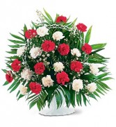 RED AND WHITE CARNATIONS ARRANGED 
