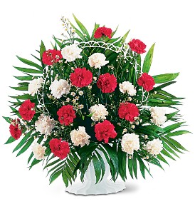 RED AND WHITE CARNATIONS ARRANGED 