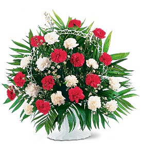 RED AND WHITE CARNATIONS ARRANGED