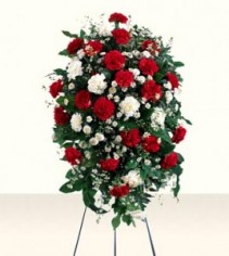 RED AND WHITE CARNATIONS ARRANGED With seasonal filler