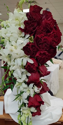 Red and White Cascade