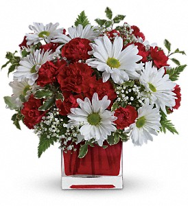 Red And White Delight