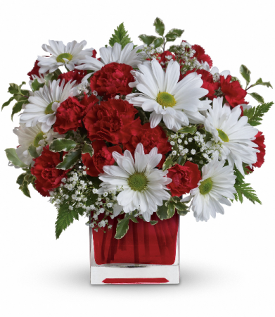 Red and White Delight all occasion