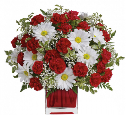 Red And White Delight ANYTIME