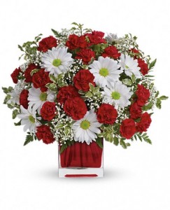 Red and White Delight by Enchanted Florist