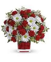 RED AND WHITE DELIGHT  Christmas