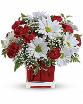 Red And White Delight TEV27-2 10.5"(w) x 10.25"(h)