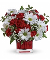 Red and White Delight TEV27-2