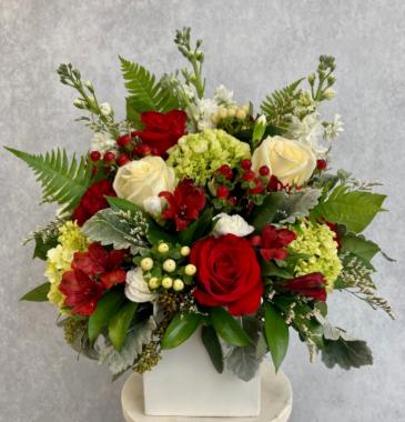 Red and White Elegance