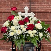 Red and White Rememberance Through Roses 