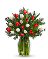 Red and White Tulips  Vase arrangement