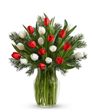 Red and White Tulips  Vase arrangement