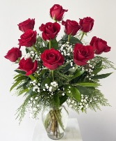 Red Beauty Roses 