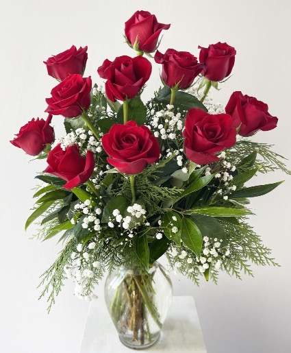 Red Beauty Roses 