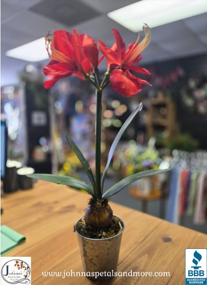 Red Blaze Silk Arrangement 