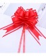 Purchase this funeral home arrangement