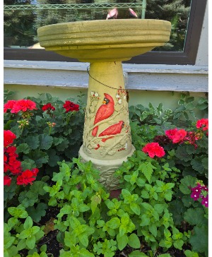 Red cardinal Bird Bath