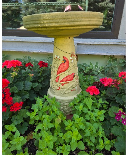 Red cardinal Bird Bath