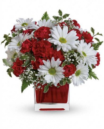Red Carnation and White Dasies 