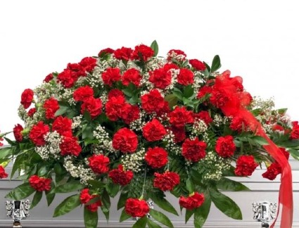 Red Carnation Casket Spray