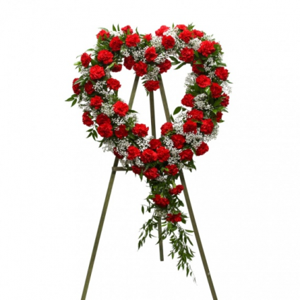 Red Carnation Love 