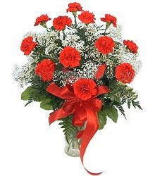 Red Carnation Vase  