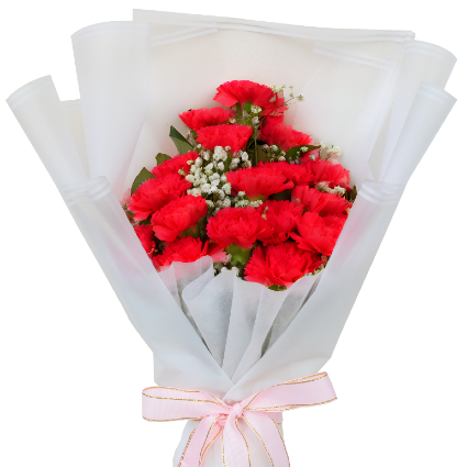 Red Carnation Wrapped Bouquet